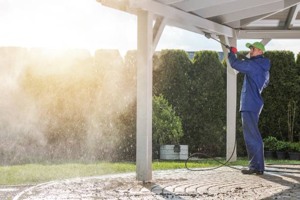 Best Driveway Pressure Washing  in Wapello, IA