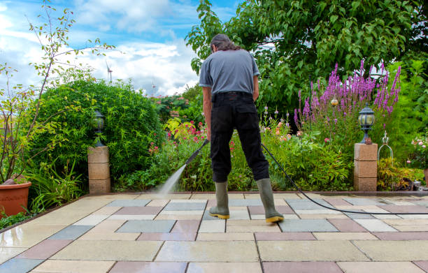 Best Parking Lot and Garage Cleaning  in Wapello, IA